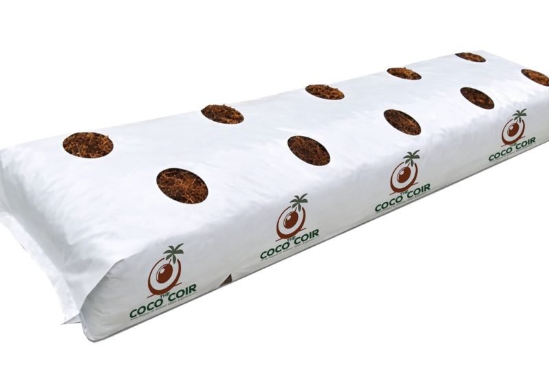 WhatsApp Image 2026-03-21 at 10.08.23 PM