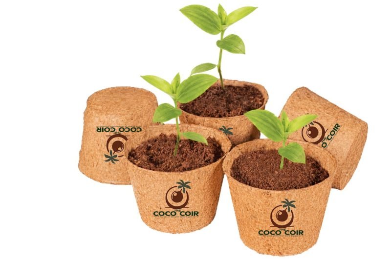 WhatsApp Image 2026-03-21 at 10.23.21 PM