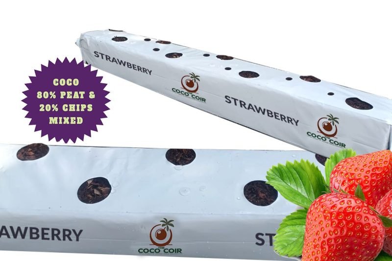 WhatsApp Image 2026-03-21 at 9.54.37 PM