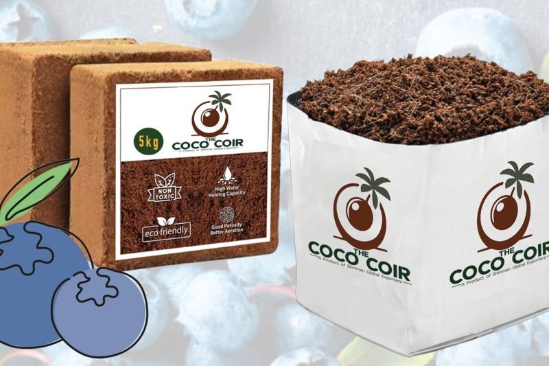 WhatsApp Image 2026-03-21 at 9.55.15 PM