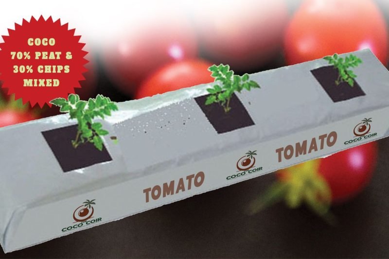 WhatsApp Image 2026-03-21 at 9.56.41 PM