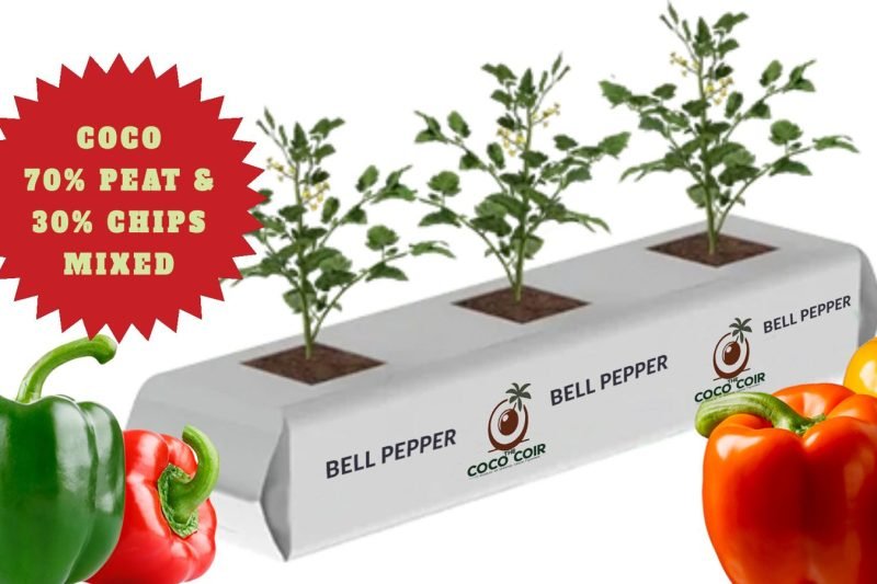 WhatsApp Image 2026-03-21 at 9.57.14 PM